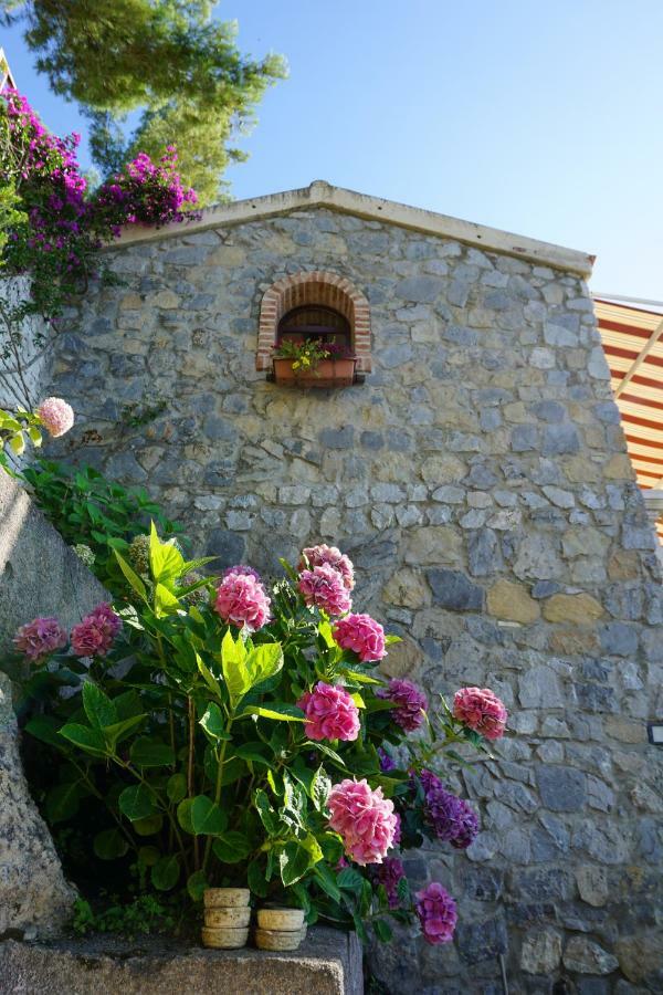 B&B Villa La Petra San Nicola Arcella Exteriör bild